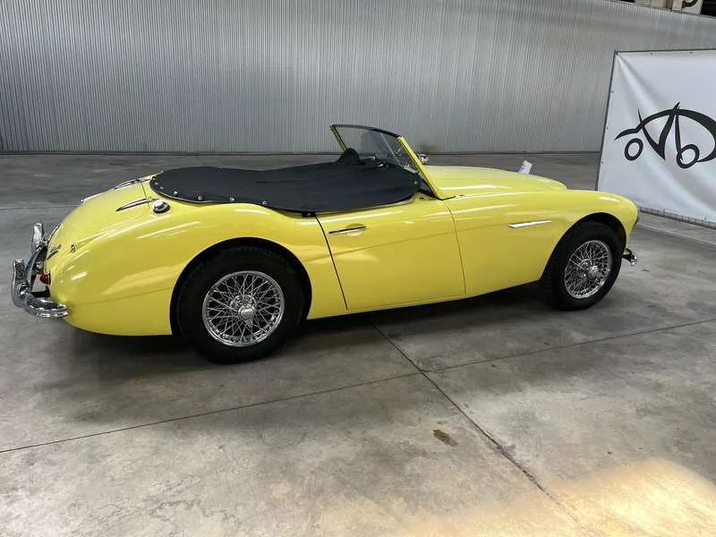 Austin-Healey 3000 MK1 BT7 Image 6
